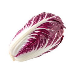 Obraz premium A single fresh head of radicchio red chicory isolated on a transparent background png