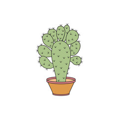 Cartoon cactus plant vector isolated illustration