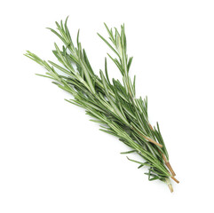 Fresh rosemary twigs isolated on white background, closeup