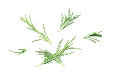Flying green rosemary isolated on white background, closeup