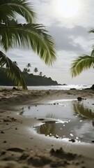 Obraz premium Tropical Landscape After Rain with Lush Greenery