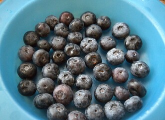 Fallen apple resting on the ground outdoors in natural light. Concept of harvest, autumn, organic fruit, and rural lifestyle.