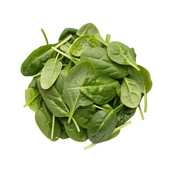 Fototapeta premium A healthy bowl of fresh spinach salad appetizer isolated on a transparent background png