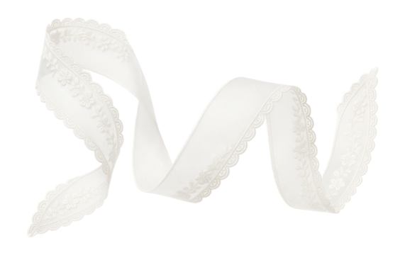 White organza ribbon with embroidered lace