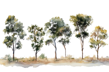 Collection of diverse trees with detailed foliage isolated on transparent background. Set of trees watercolor isolated on white background.
