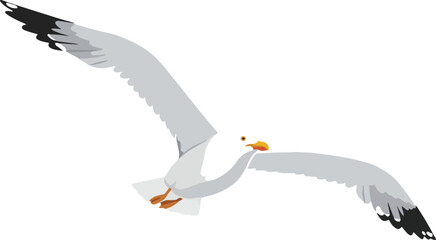 Fototapeta premium Web