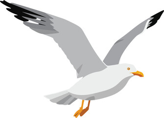 Fototapeta premium Web