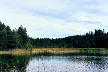By Eriksrudtjernet Lake of Vestre Toten, Norway, in August 2025.