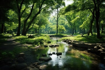 Obraz premium Greenery park vegetation landscape outdoors.