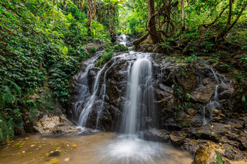 Fototapeta premium The natural backdrop of a waterfall in a deep forest or a reservoir by a stream, the beauty of the ecosystem, the green forest, the cool air during an adventurous trip.