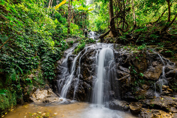The natural backdrop of a waterfall in a deep forest or a reservoir by a stream, the beauty of the ecosystem, the green forest, the cool air during an adventurous trip.