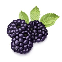 blackberry