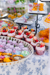 buffet style appetizers Trang, Thailand 92000
