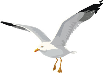 Naklejka premium Web