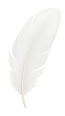 Swan feather with pure white appearance