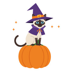 Siamese Cat in Witch Costume Sitting on Pumpkin Flat Vector Illustration