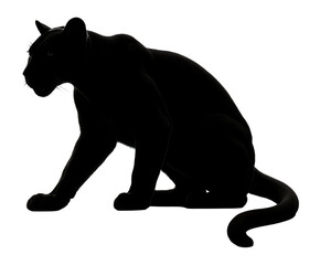 Fototapeta premium Silhouette of a crouching cougar with alert posture