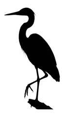 Silhouette of a perched heron with slender neck