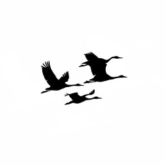 Mother bird flying with chicks silhouette isolated on white background