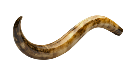 A shofar ram's horn for Rosh Hashanah and Yom Kippur, a sacred Jewish instrument for the High Holy Days, a symbol for prayer and repentance, a holy religious object isolated on white.
Transparent.