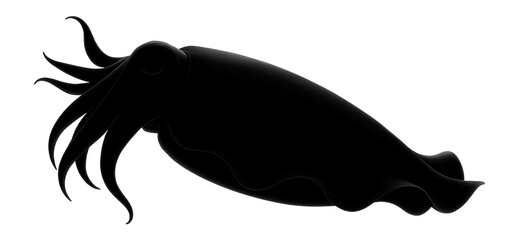 Silhouette of a swimming cuttlefish with wavy fins