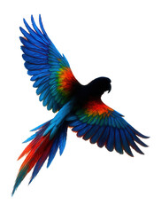 Fototapeta premium Silhouette of a flying parrot with expressive colors