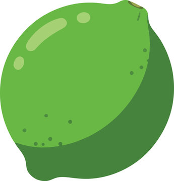 green lime fruit isolated clip art preview