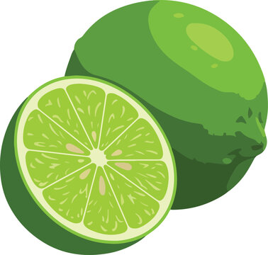 green limes, whole and sliced clip art preview