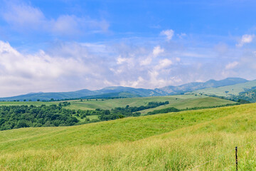 Obraz premium 青空のナイタイ高原牧場 