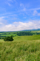 青空のナイタイ高原牧場
