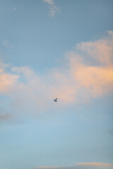 Obraz premium A small bird in a peaceful flight against a soft pastel sky, with light orange and white clouds scattered across a calm blue backdrop, evoking a feeling of tranquility. 