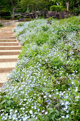 神戸布引ハーブ園