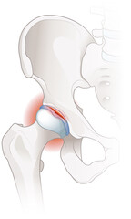 ~ai-8b2299ac-970b-4500-b9e4-52d468b6b0af_