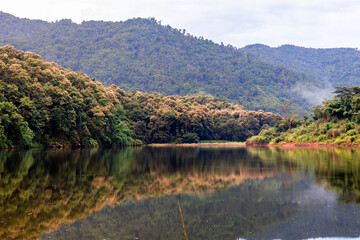 The natural background of many kinds of trees growing along the edge of a large reservoir, mountains, rivers, is a rich ecosystem that is home to many kinds of wildlife.