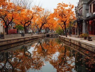 autumn in Nanjing