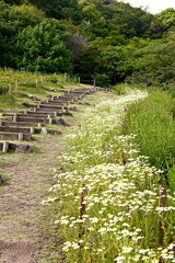 神戸布引ハーブ園