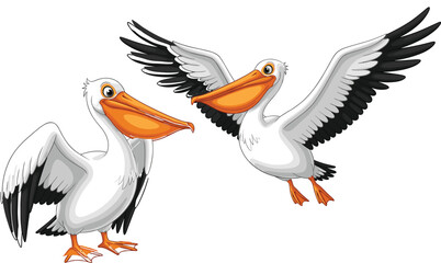 Cartoon pelican birds with big orange beaks, standing and flying poses, perfect for wildlife illustrations, kids books, and animal vectors.