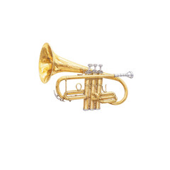 Obraz premium Single brass trumpet, golden wind instrument, shining on a white background