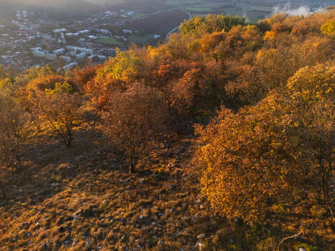 Aerial view of autumn's golden hues paint the hillside, where trees transition from green to vibrant oranges and yellows, Ple&Aring;&iexcl;ivec, Ko&Aring;&iexcl;ice Region, Slovakia.