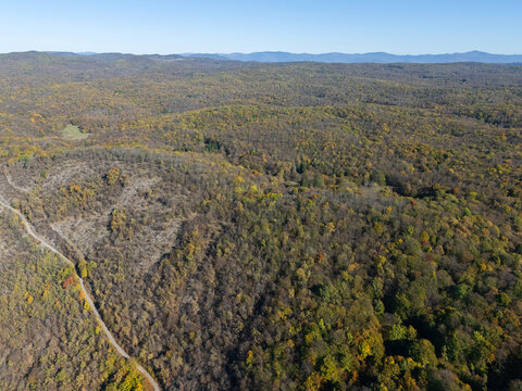 Aerial view of a vast forest, with autumn foliage painting the landscape in hues of gold and amber, gently rolling hills stretching toward the horizon, Ple&Aring;&iexcl;ivec, Ko&Aring;&iexcl;ice Region, Slovakia.