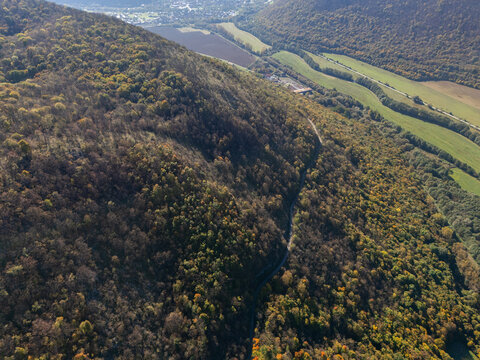Aerial view of a dense forest cascading down a mountain slope, a tapestry of greens and autumnal golds contrasting with the distant valley, Ple&Aring;&iexcl;ivec, Ko&Aring;&iexcl;ice Region, Slovakia.
