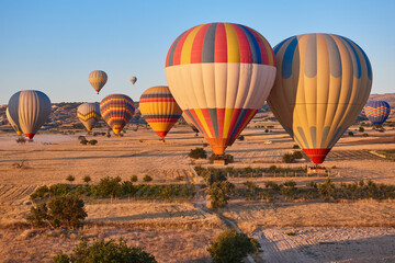 Obraz premium Balloons in Cappadocia. Flights in Goreme. Tourism in Turkey