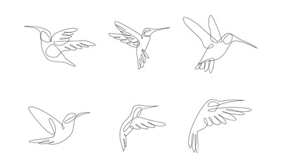 Minimalist Hummingbird Continuous Line Art Set. Flying Birds One Line Drawing.