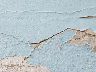 Close-up light blue painted wall with large, peeling sections revealing gray, rough concrete underneath. Old paint is flaking and cracked