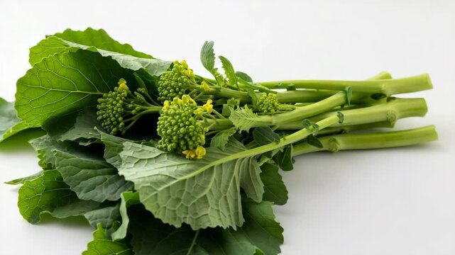Fresh green rapini with leaves and flowering buds