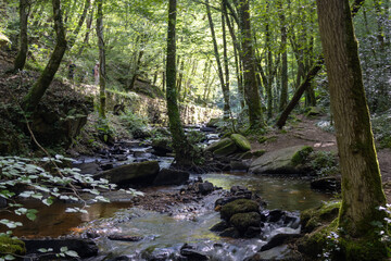 Obraz premium waterfall in the mountains