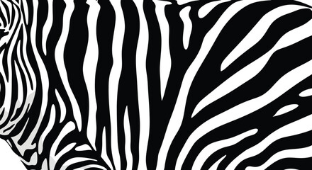 Vector art of closeup of a zebras distinctive black and white striped pattern, highlighting its natural texture and bold contrast