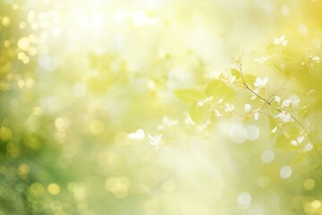 Green light bokeh background nature backgrounds sunlight.