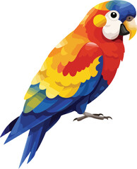 Fototapeta premium Web