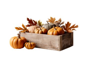 Autumn harvest display with pumpkins and leaves